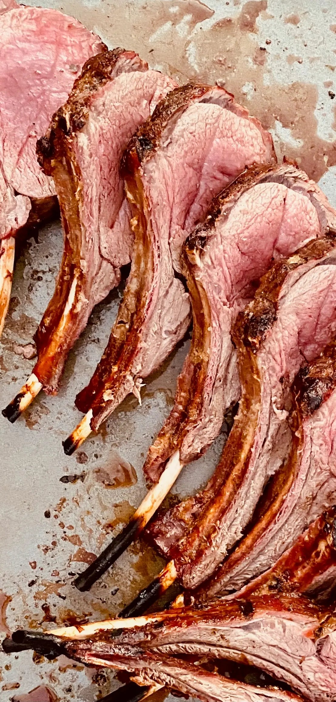 IMG_2642.JPG